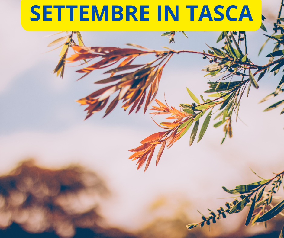 SETTEMBRE E LE SPESE